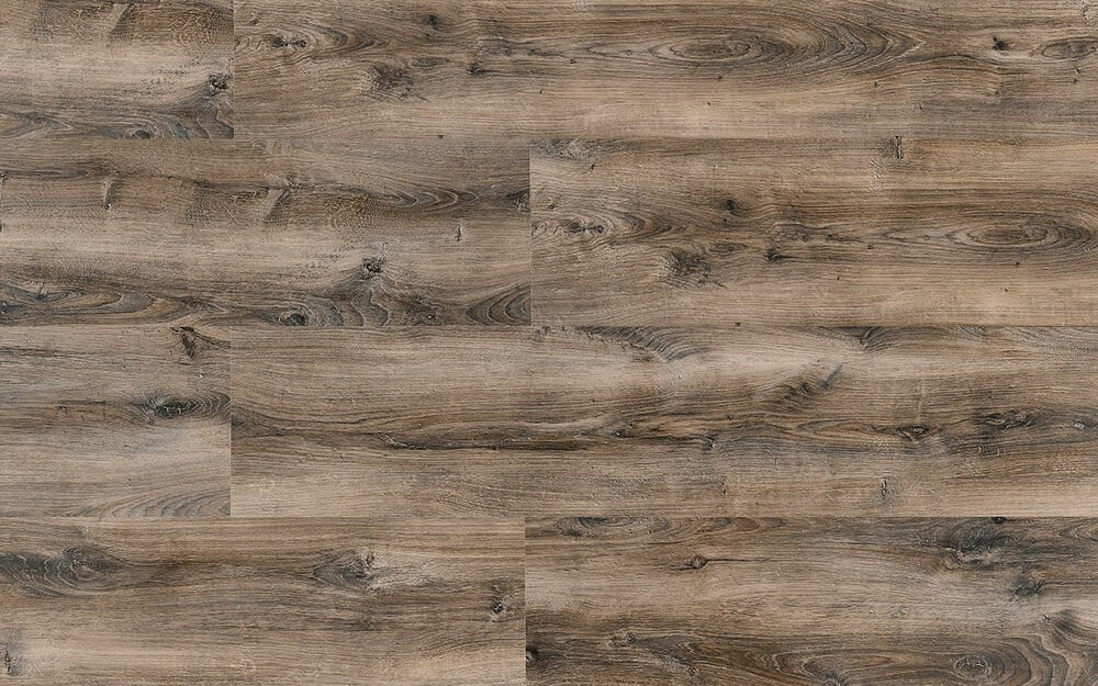 CELTIC-OAK-optimized
