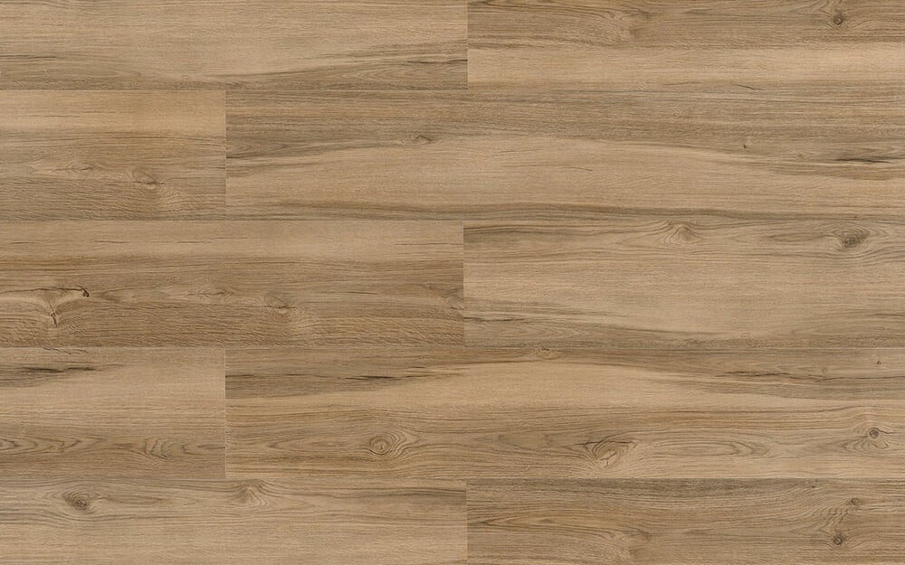 SMART-OAK-optimized